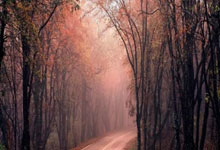 欧博ABG官网：[天下足球]疯狂的足球·2024：球场上的搞笑瞬间.