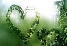 2025“维德杯”斯诺克世界公开赛盛大开幕! 世界台球城玉山....