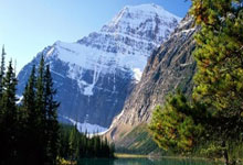 奥利塞本赛季联赛已造17球超越上赛季 创造20次重大机会德甲首人.