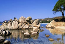 欧博ABG官网：归化失败！中足联官网：云南玉昆奥斯卡以外援身份报名.